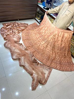 Big Flair Lehnga Choli