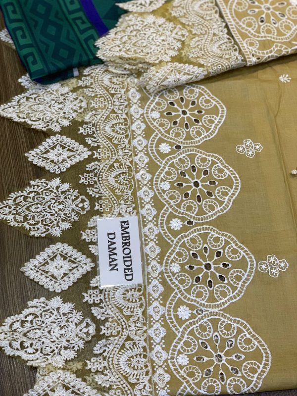 Chikankari cotton